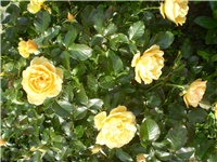 da6f587e-Picture 6504.jpg